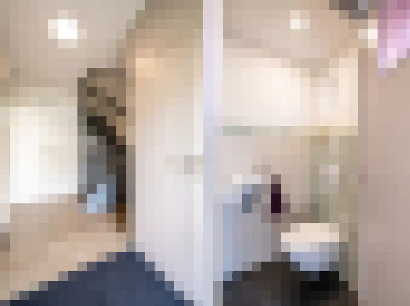 De Meesterstraat 29 Oss thumbnail 6