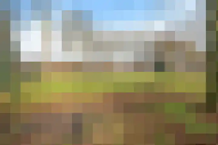 De Meesterstraat 3 Oss thumbnail 27