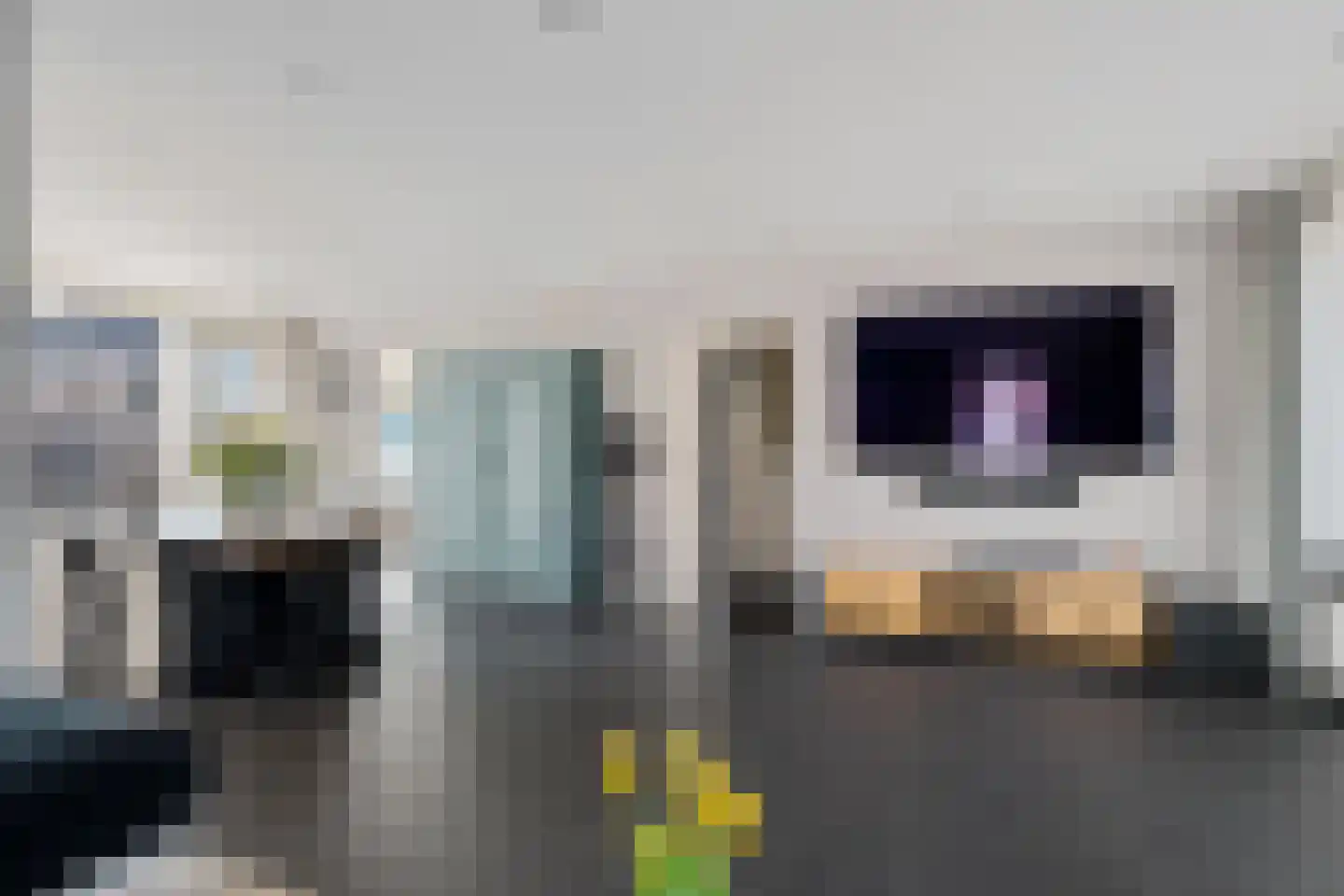 De Meesterstraat 61 Oss thumbnail 11
