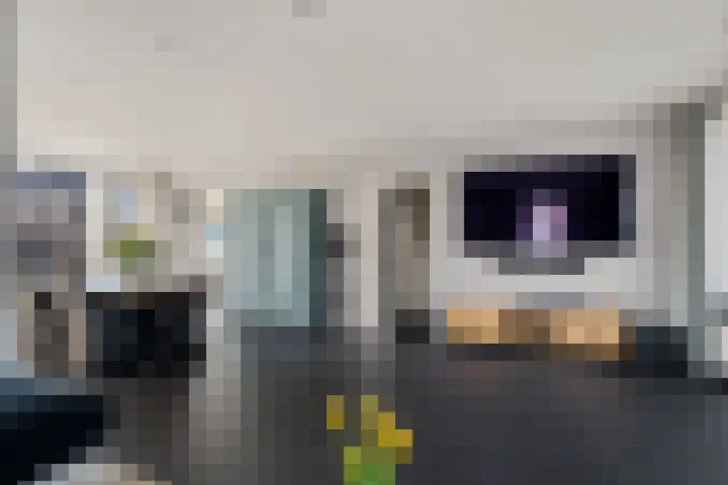De Meesterstraat 61 Oss thumbnail 16