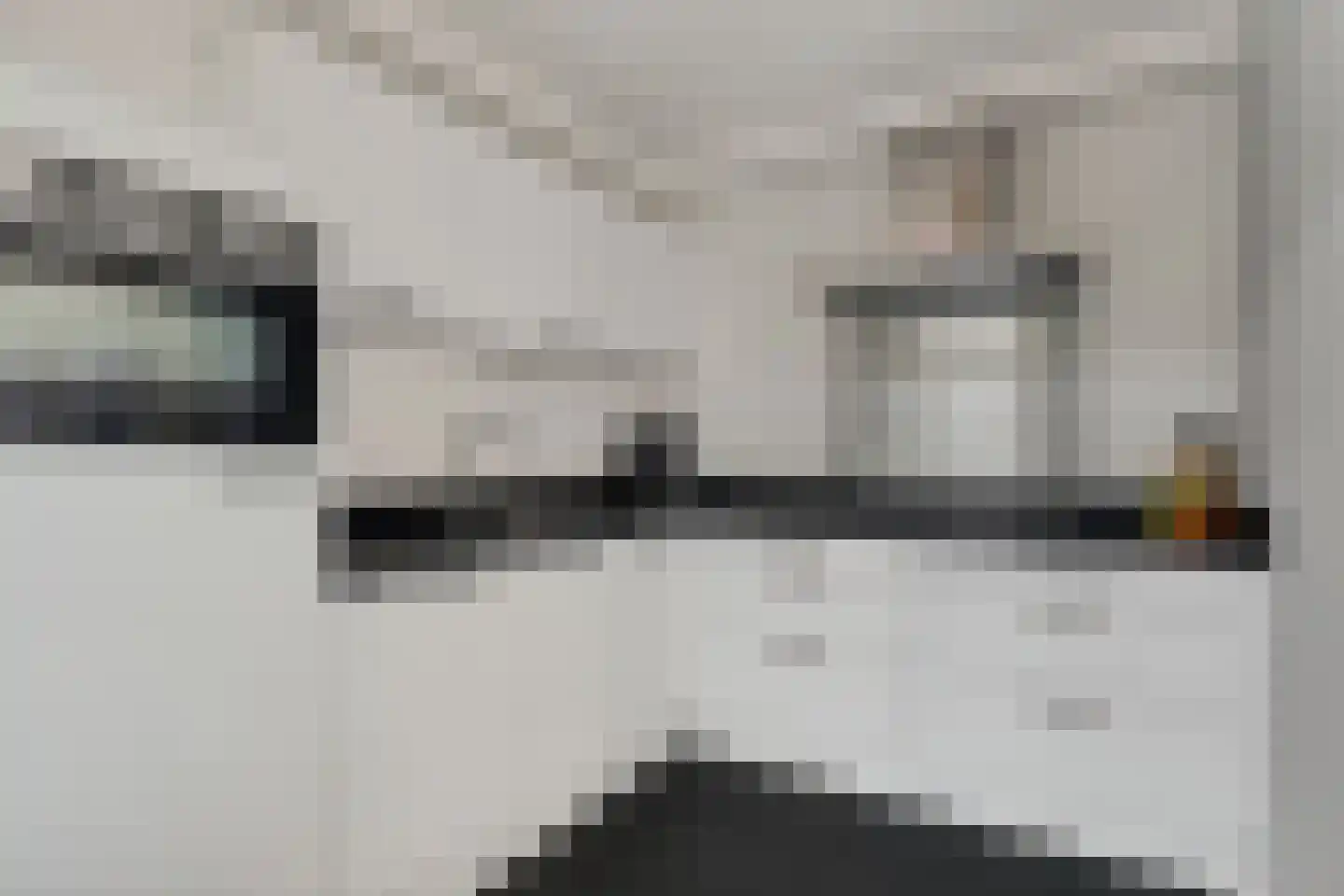 De Meesterstraat 61 Oss thumbnail 18