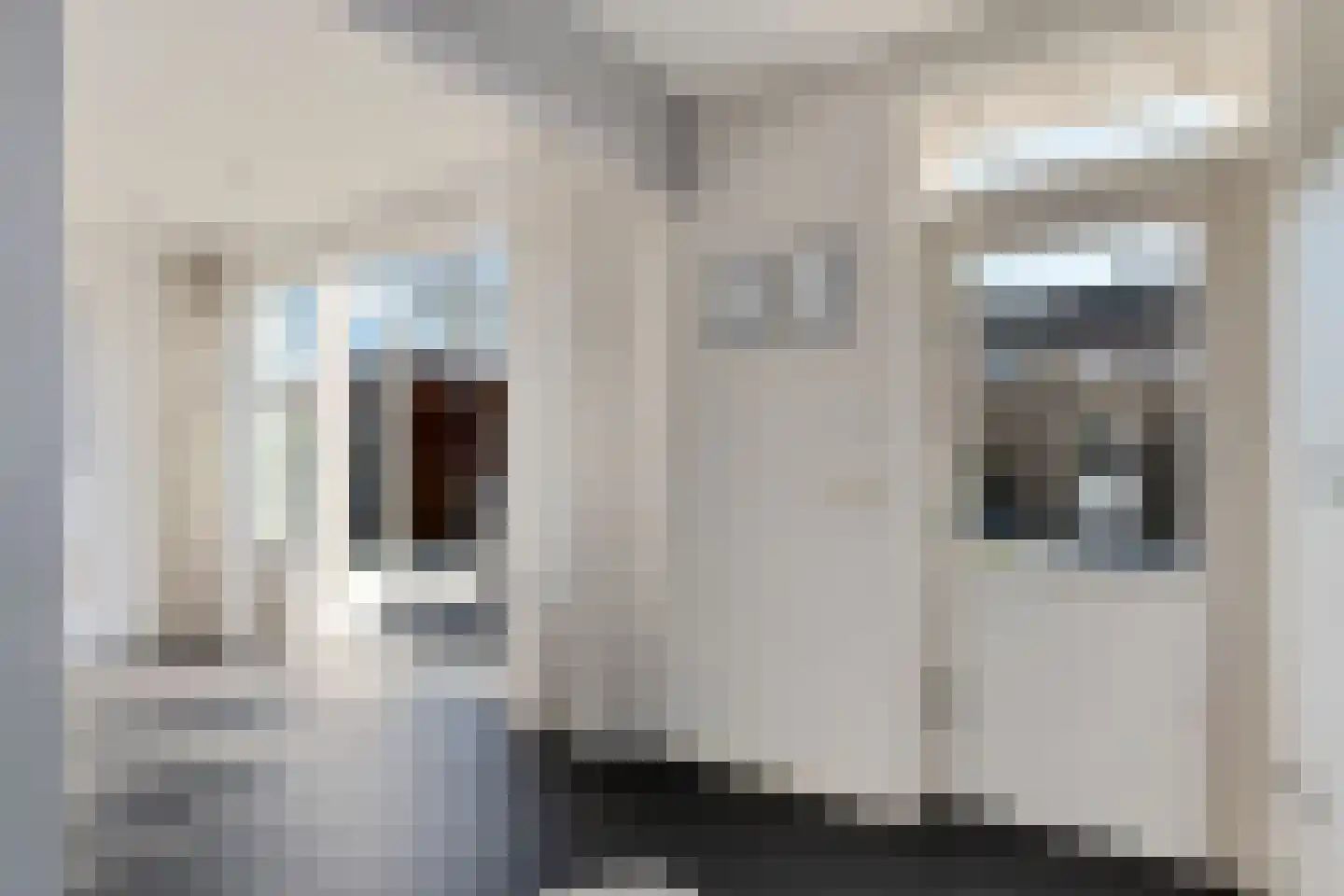 De Meesterstraat 61 Oss thumbnail 20