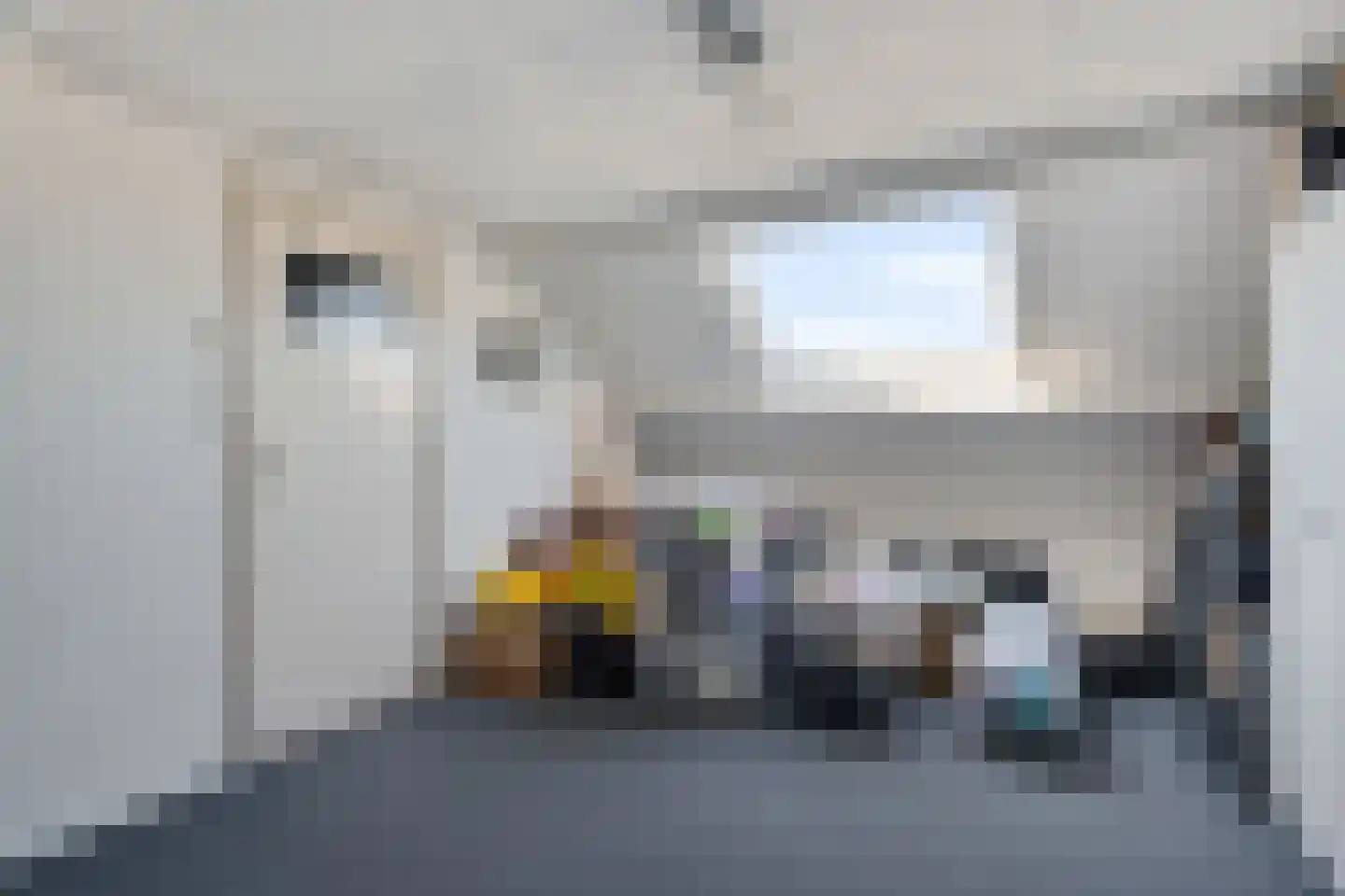 De Meesterstraat 61 Oss thumbnail 33