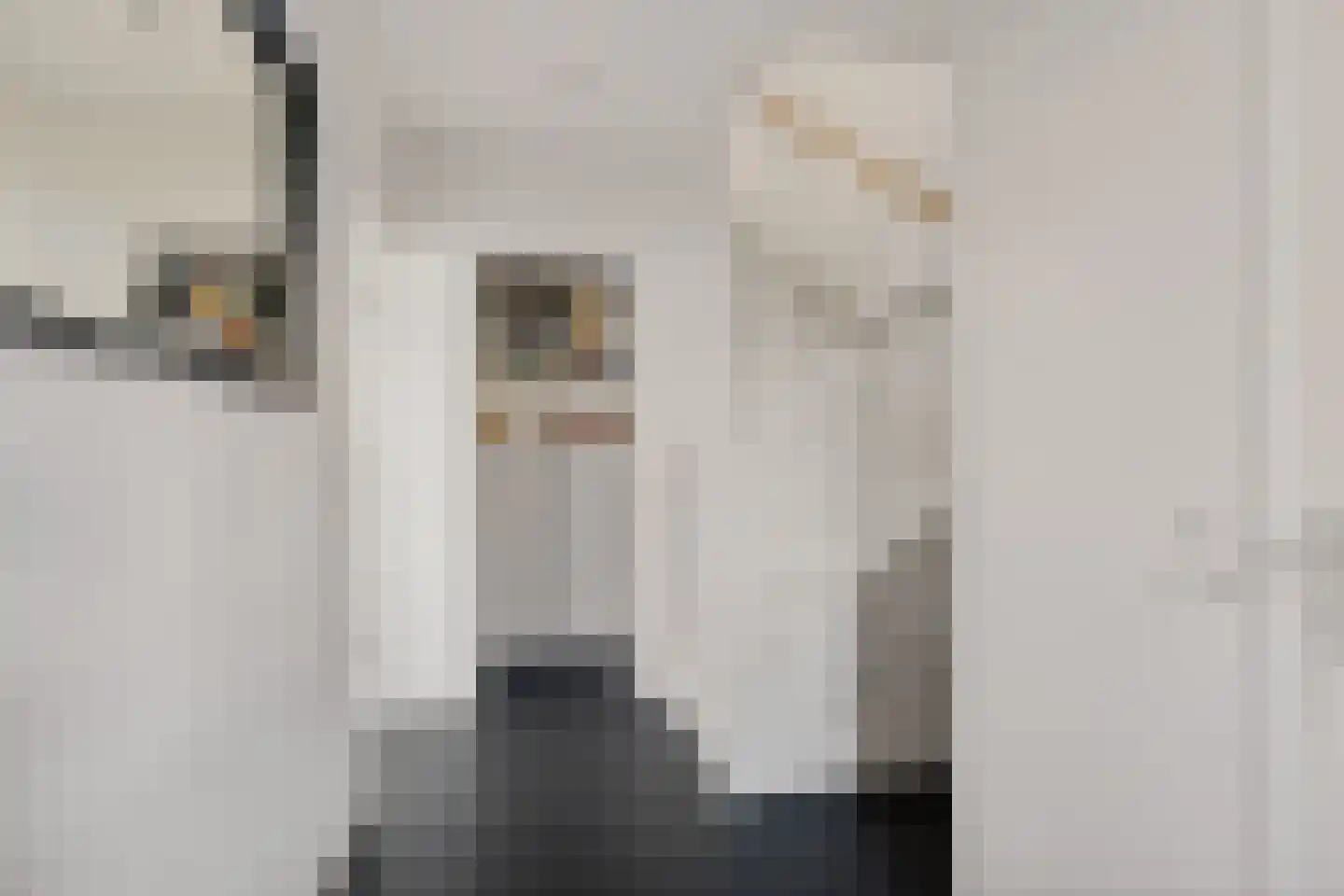 De Meesterstraat 61 Oss thumbnail 6