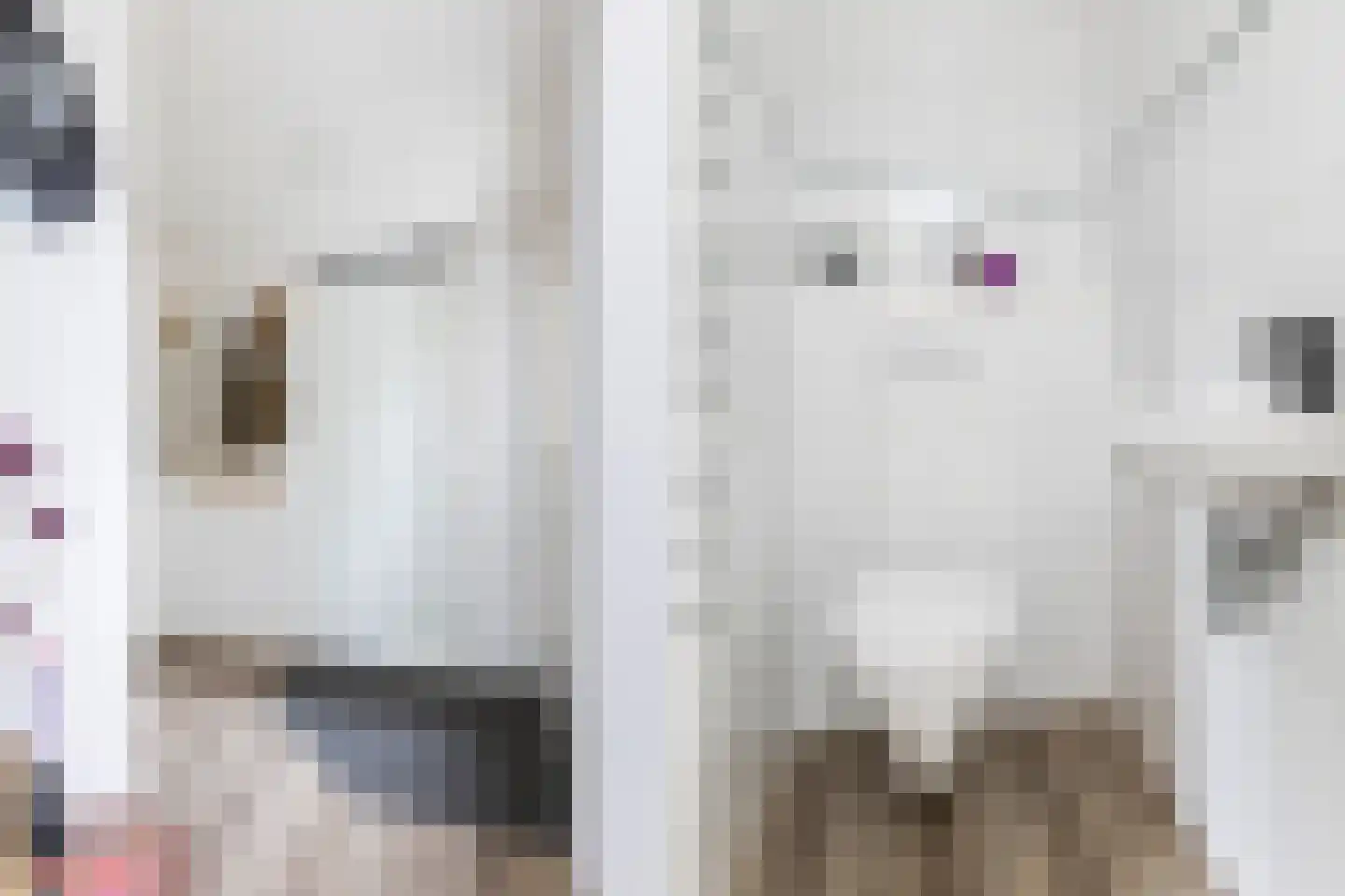 De Meesterware 24 Zwolle thumbnail 10