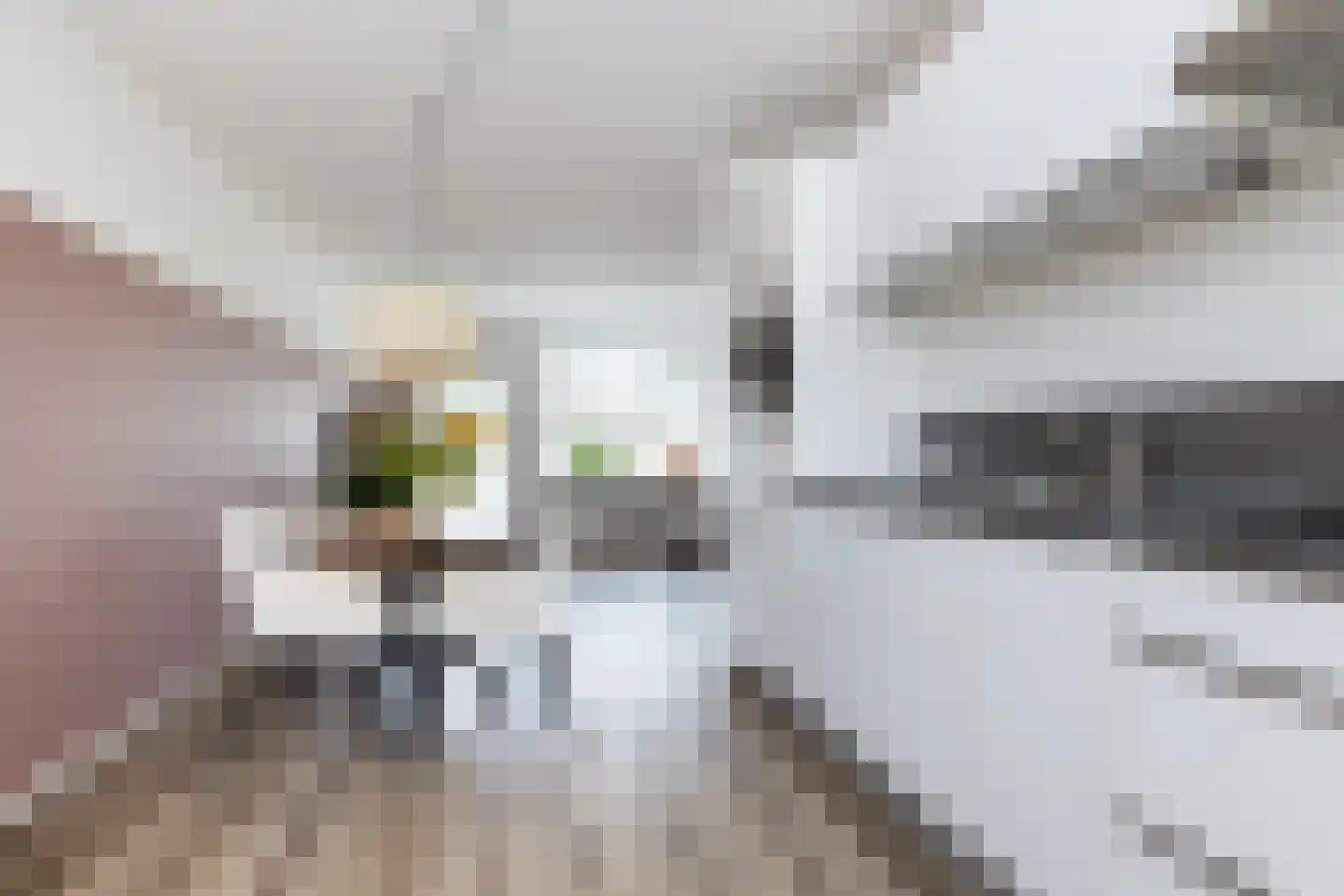 De Meesterware 24 Zwolle thumbnail 18