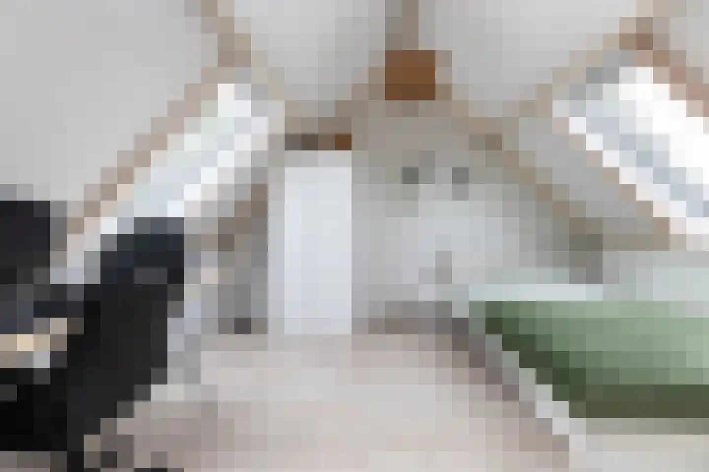 De Meesterware 24 Zwolle thumbnail 26