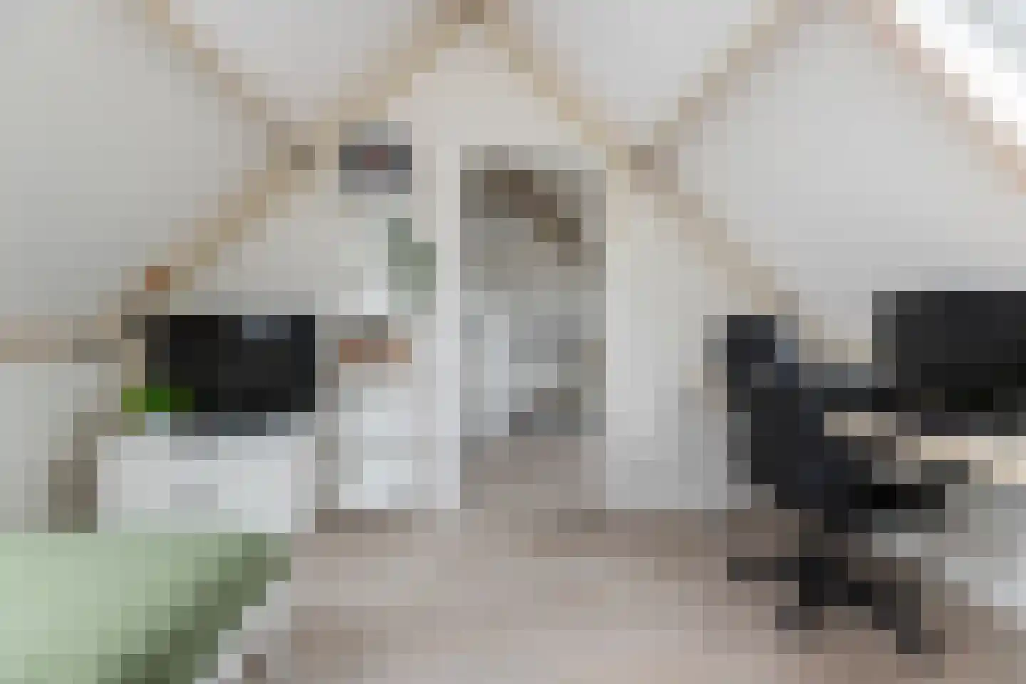 De Meesterware 24 Zwolle thumbnail 27