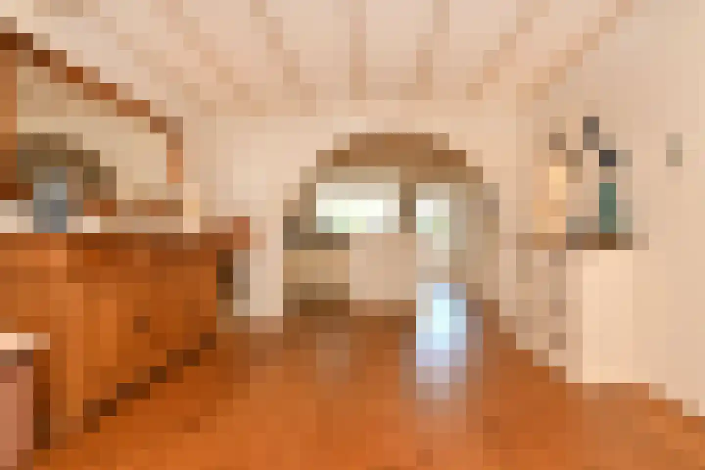 De Meestoof 30 Nieuw-Vossemeer thumbnail 10