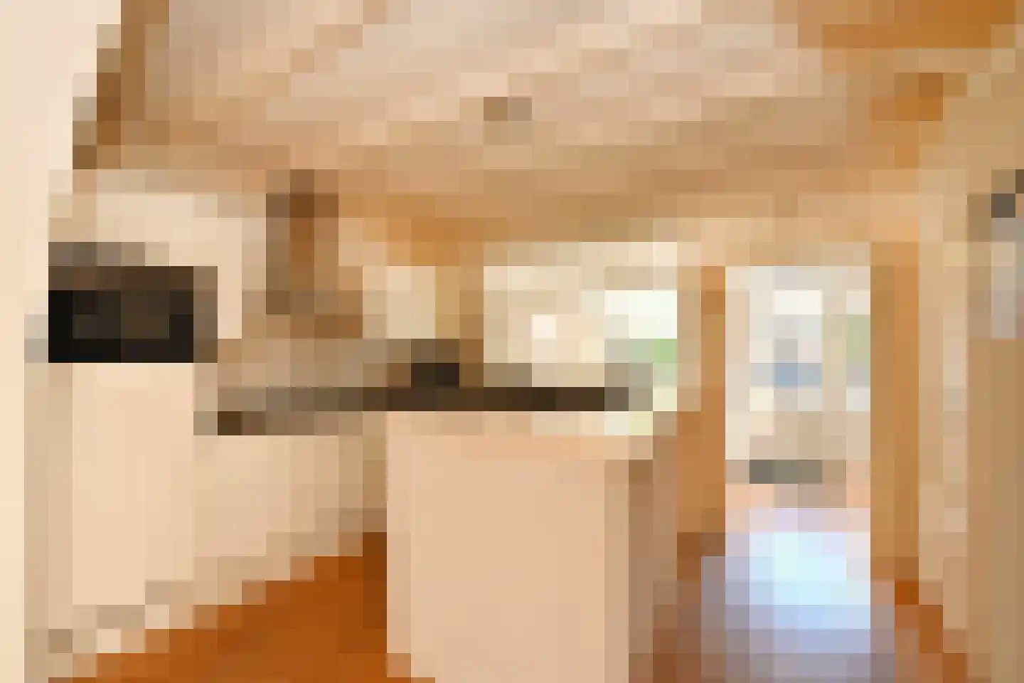 De Meestoof 30 Nieuw-Vossemeer thumbnail 11