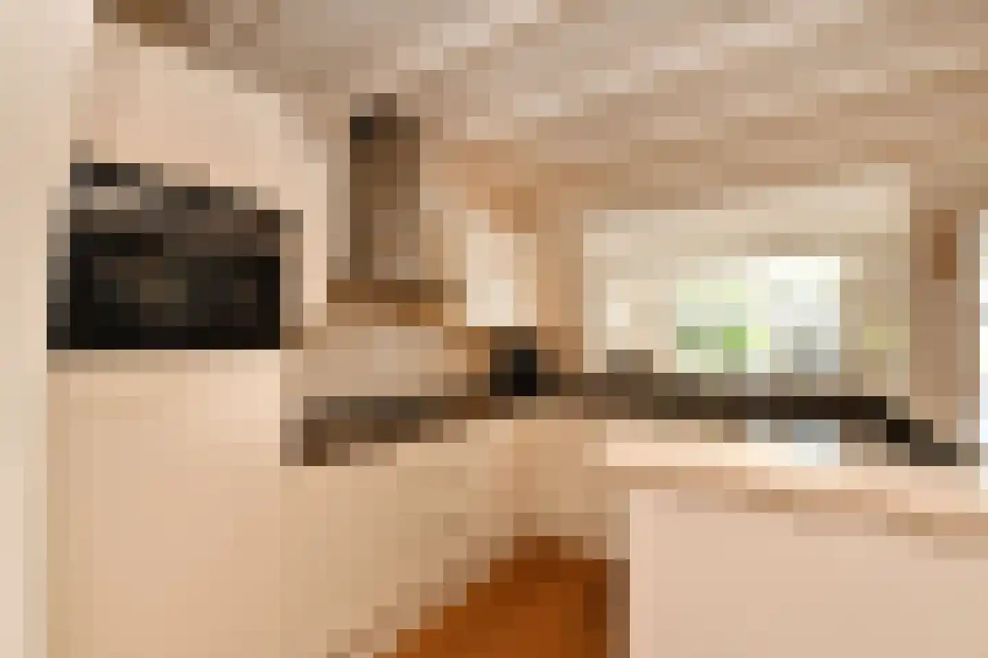 De Meestoof 30 Nieuw-Vossemeer thumbnail 12