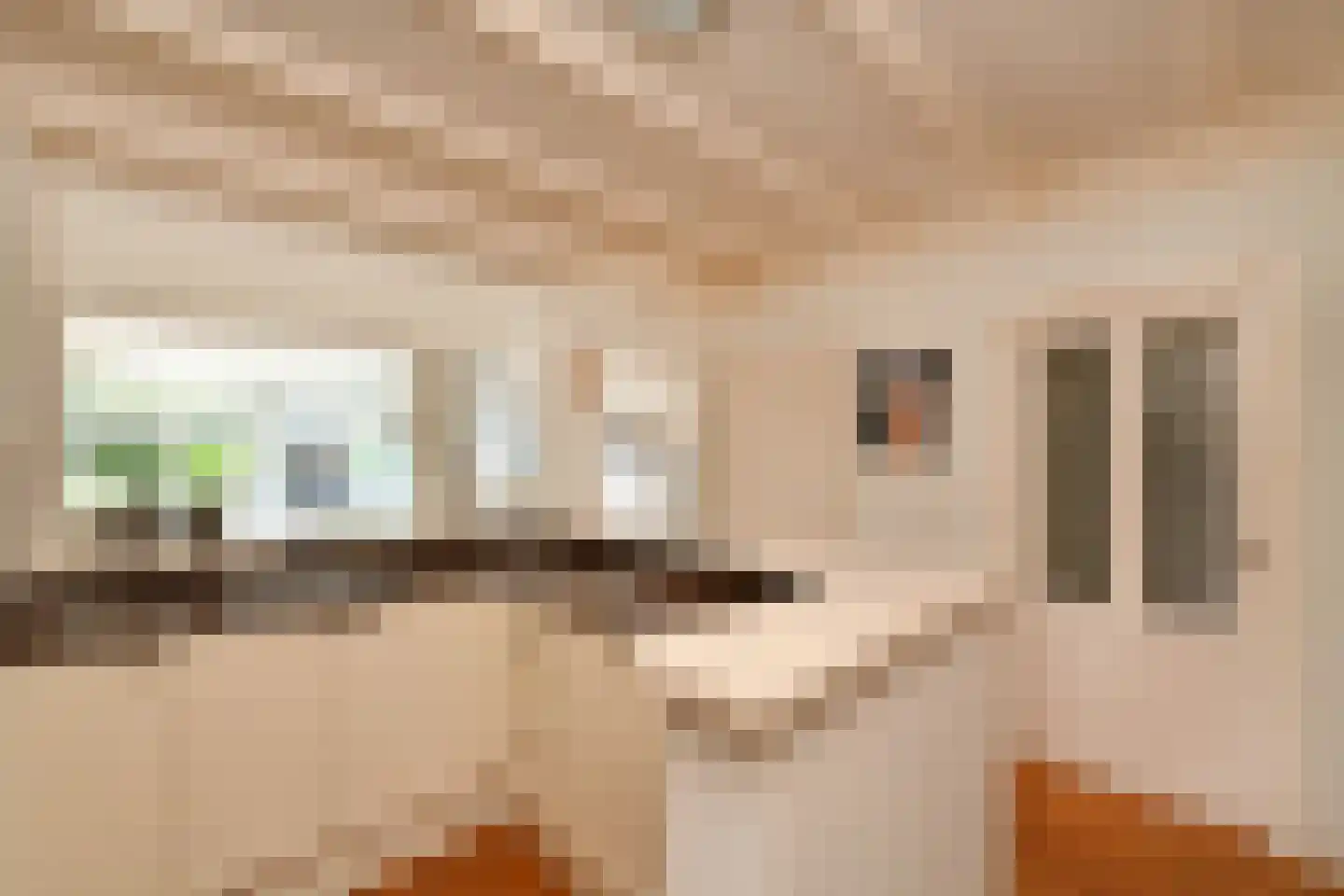 De Meestoof 30 Nieuw-Vossemeer thumbnail 13
