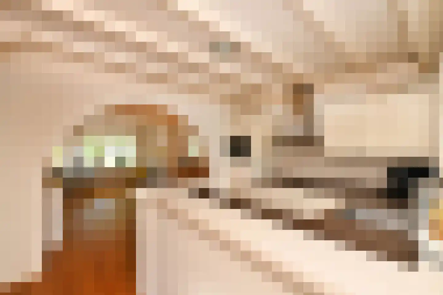 De Meestoof 30 Nieuw-Vossemeer thumbnail 14