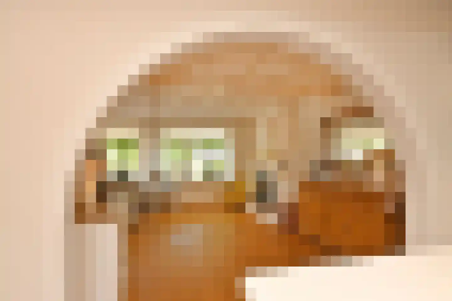 De Meestoof 30 Nieuw-Vossemeer thumbnail 15