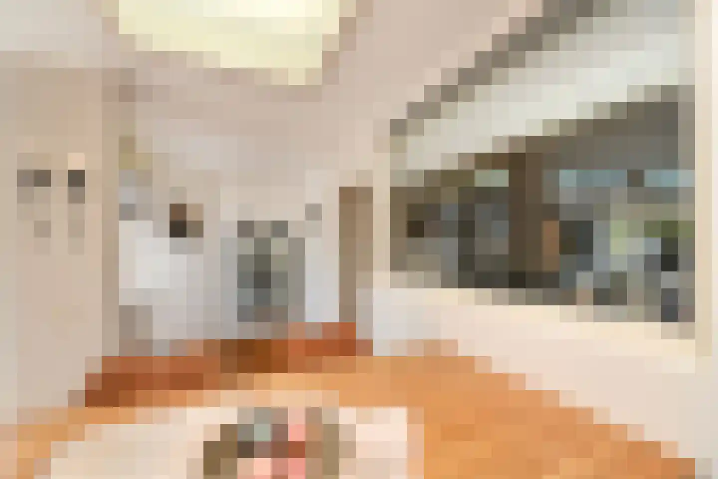 De Meestoof 30 Nieuw-Vossemeer thumbnail 16