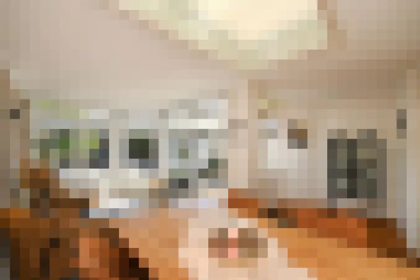 De Meestoof 30 Nieuw-Vossemeer thumbnail 17