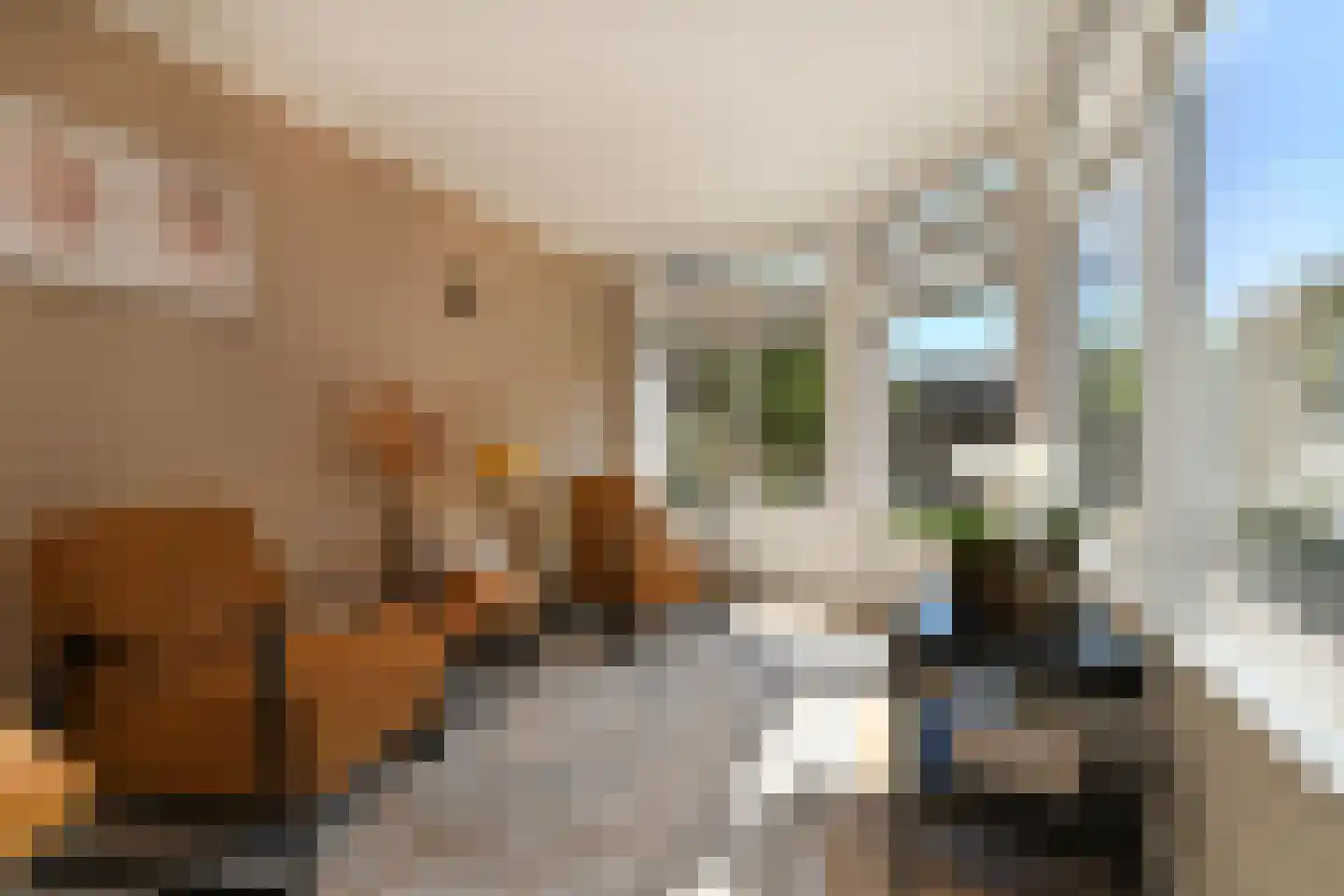 De Meestoof 30 Nieuw-Vossemeer thumbnail 18