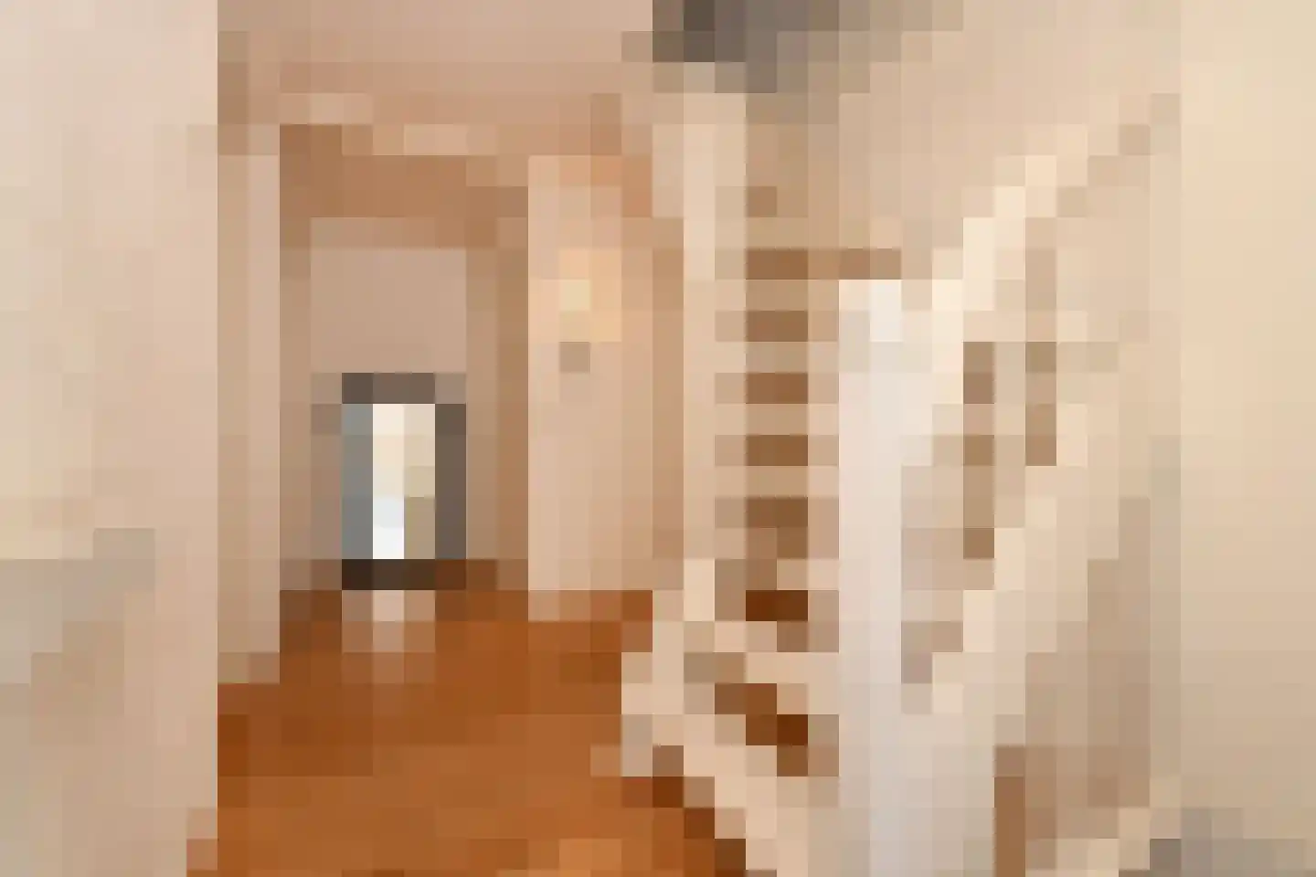 De Meestoof 30 Nieuw-Vossemeer thumbnail 19