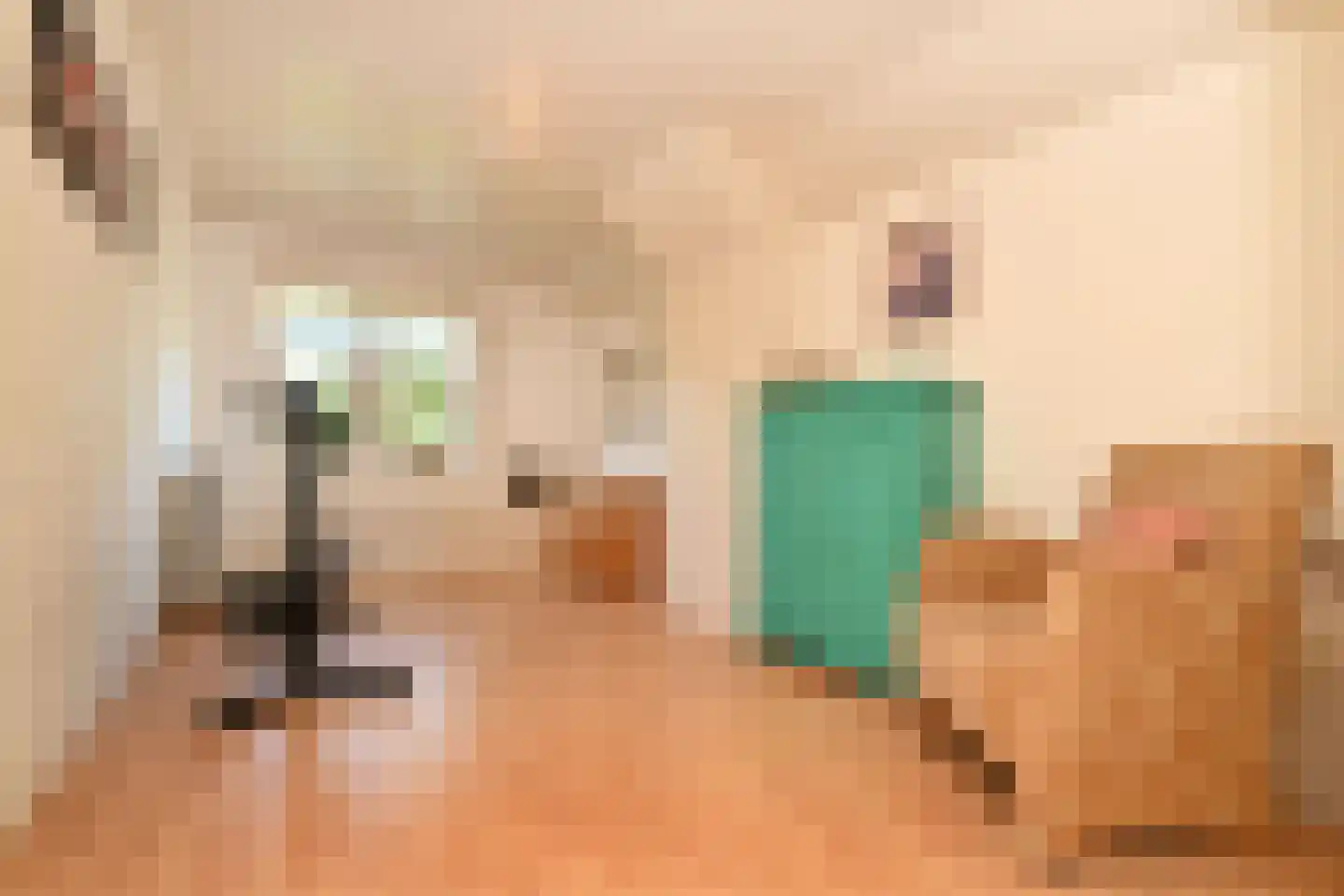 De Meestoof 30 Nieuw-Vossemeer thumbnail 23