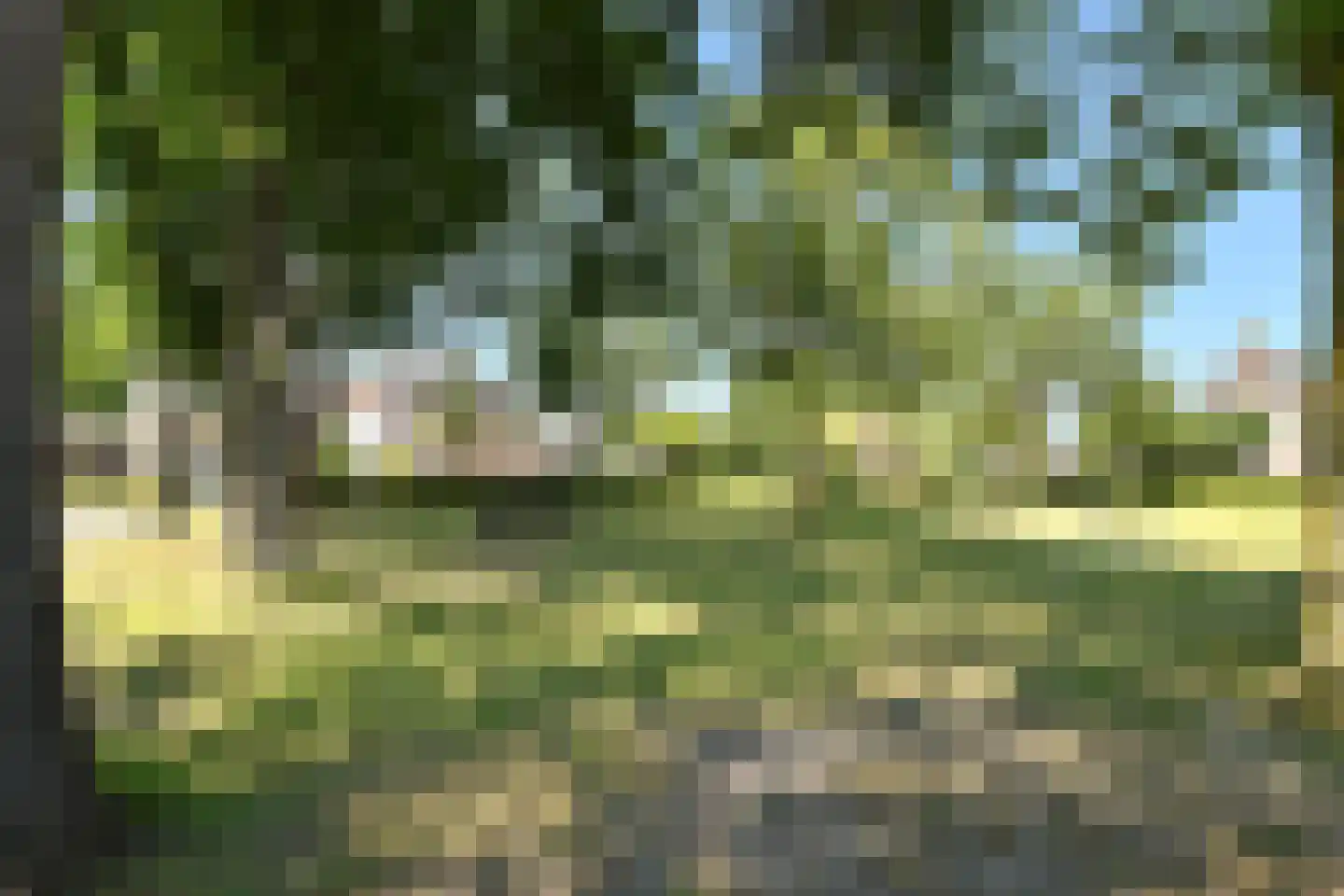 De Meestoof 30 Nieuw-Vossemeer thumbnail 33