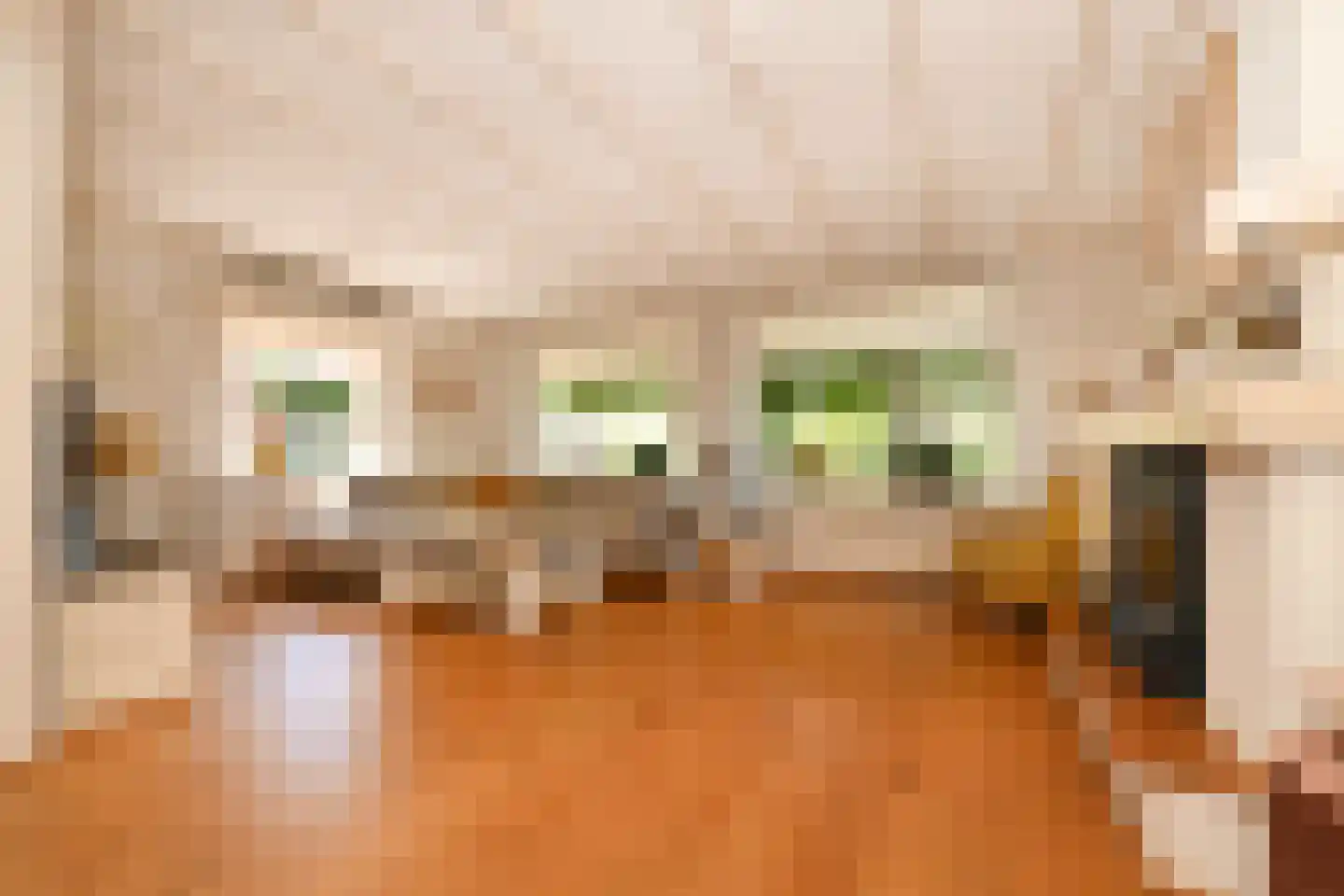 De Meestoof 30 Nieuw-Vossemeer thumbnail 7