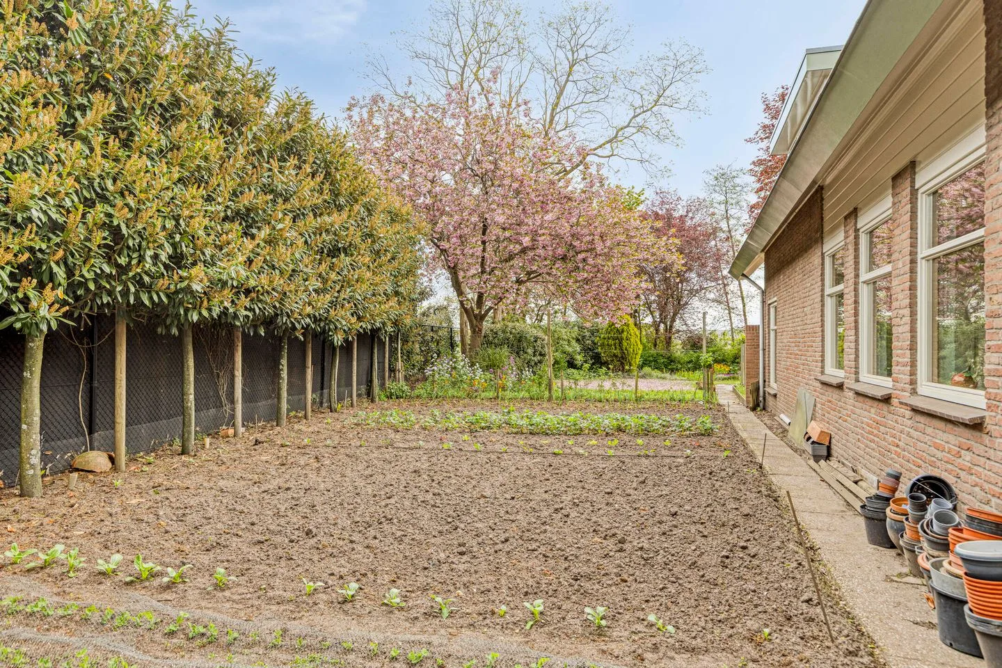 De Meeten 61 Roosendaal thumbnail 51