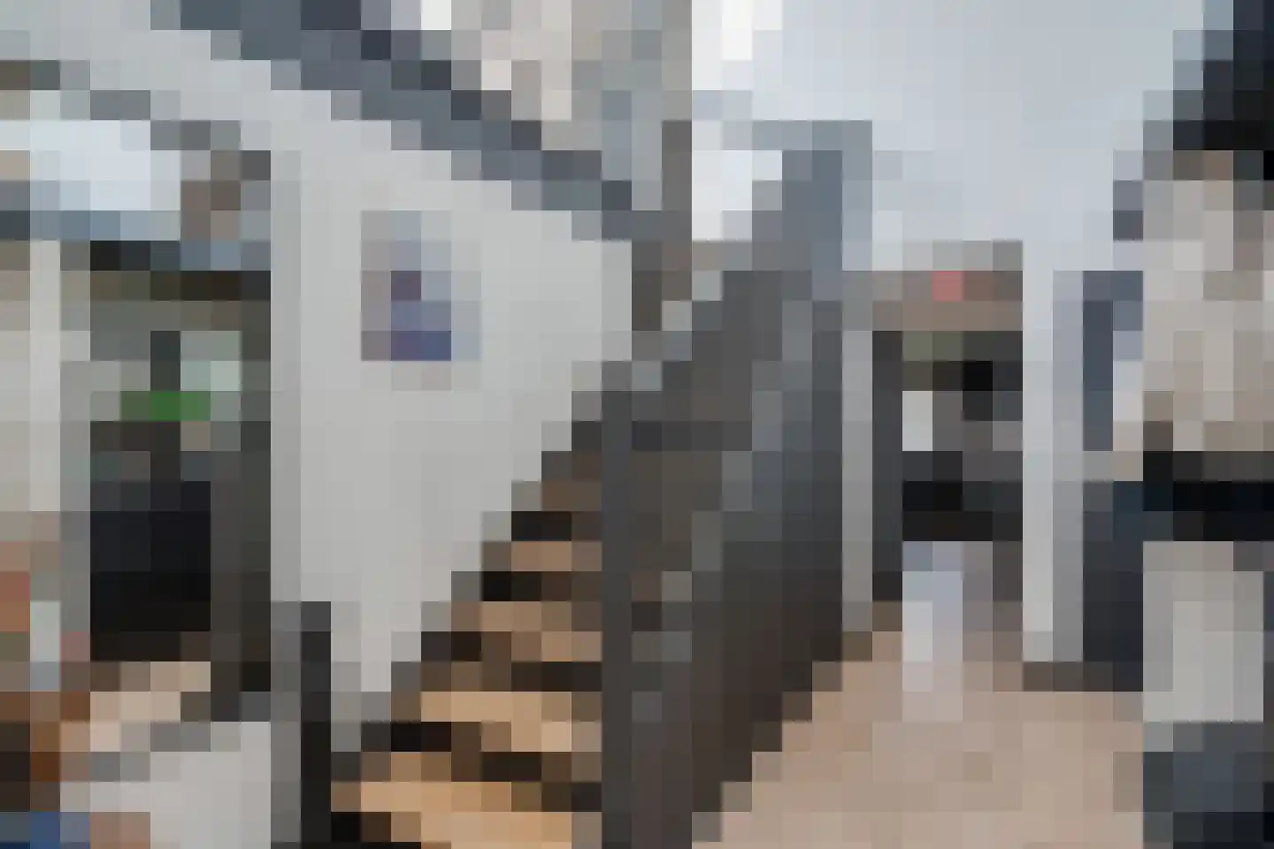 de Meeuwenstaart 2 Delfzijl thumbnail 20