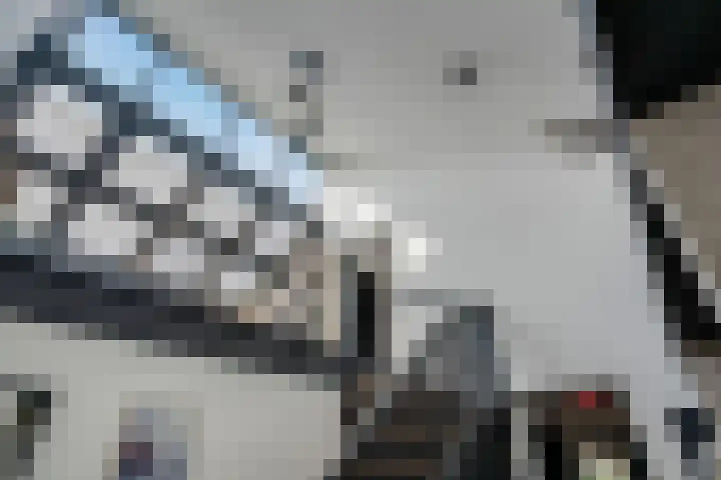 de Meeuwenstaart 2 Delfzijl thumbnail 22