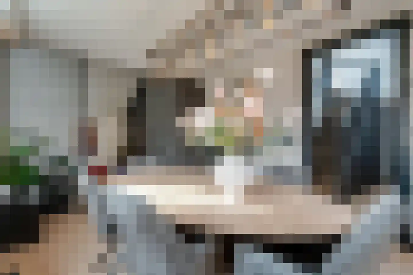 de Meeuwenstaart 2 Delfzijl thumbnail 25