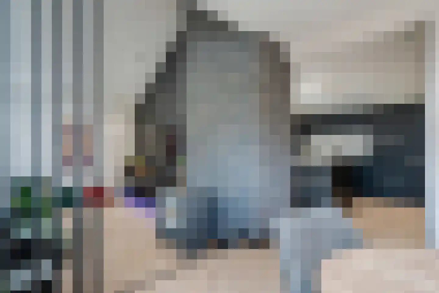 de Meeuwenstaart 2 Delfzijl thumbnail 27