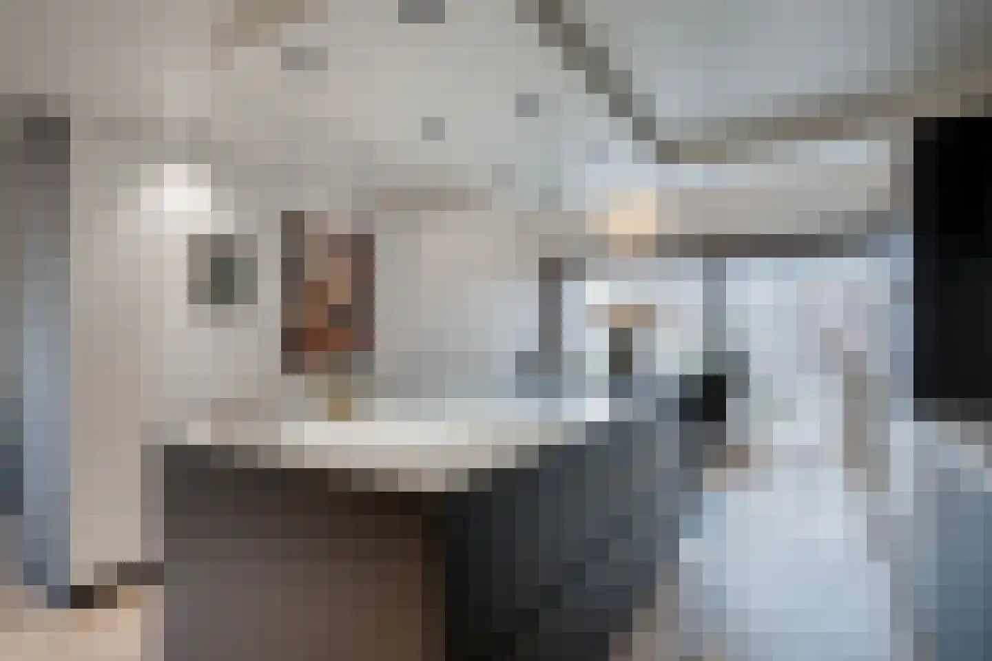 de Meeuwenstaart 2 Delfzijl thumbnail 36