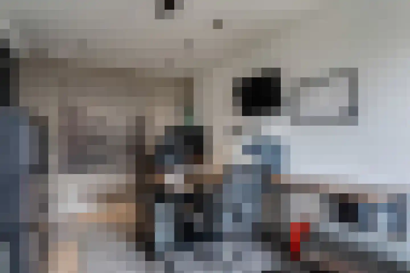 de Meeuwenstaart 2 Delfzijl thumbnail 43