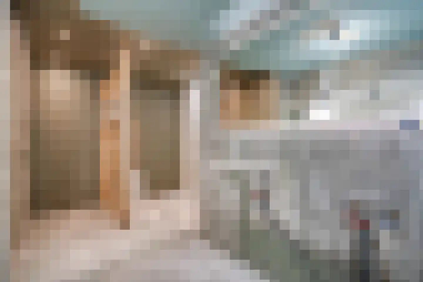 de Meeuwenstaart 2 Delfzijl thumbnail 49