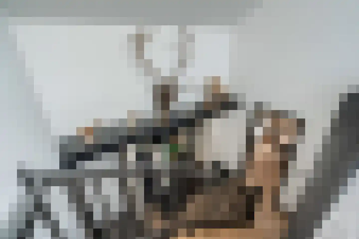 de Meeuwenstaart 2 Delfzijl thumbnail 53