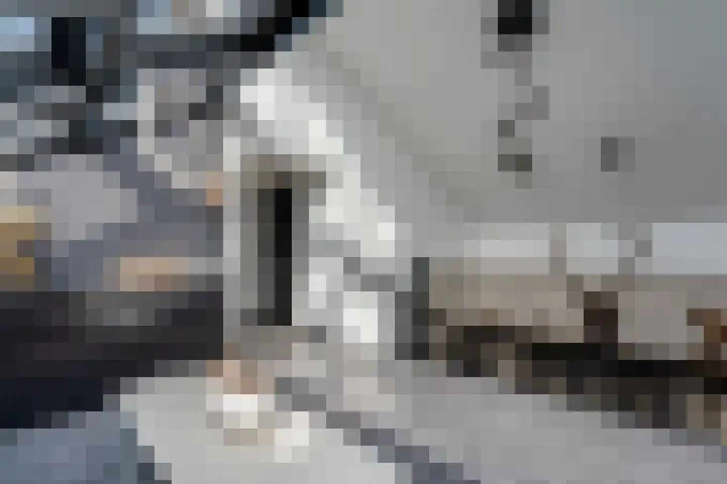 de Meeuwenstaart 2 Delfzijl thumbnail 58