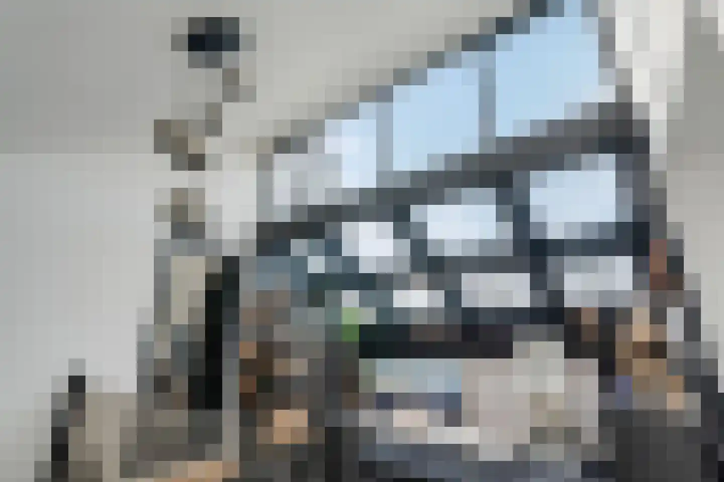 de Meeuwenstaart 2 Delfzijl thumbnail 6