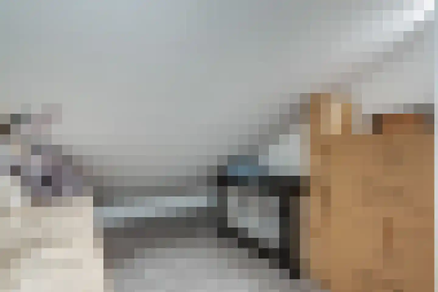 de Meeuwenstaart 2 Delfzijl thumbnail 62