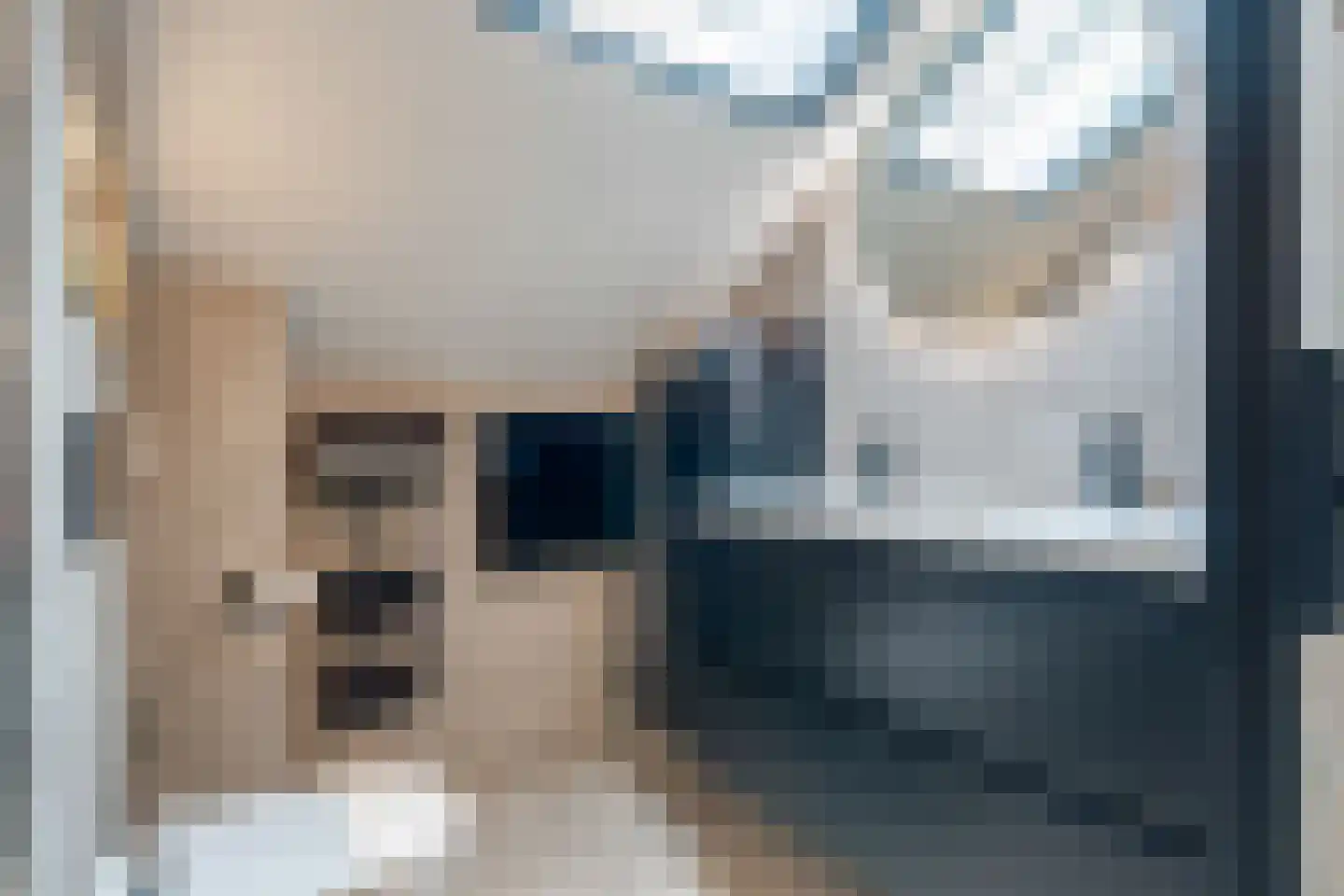 de Meeuwenstaart 2 Delfzijl thumbnail 68