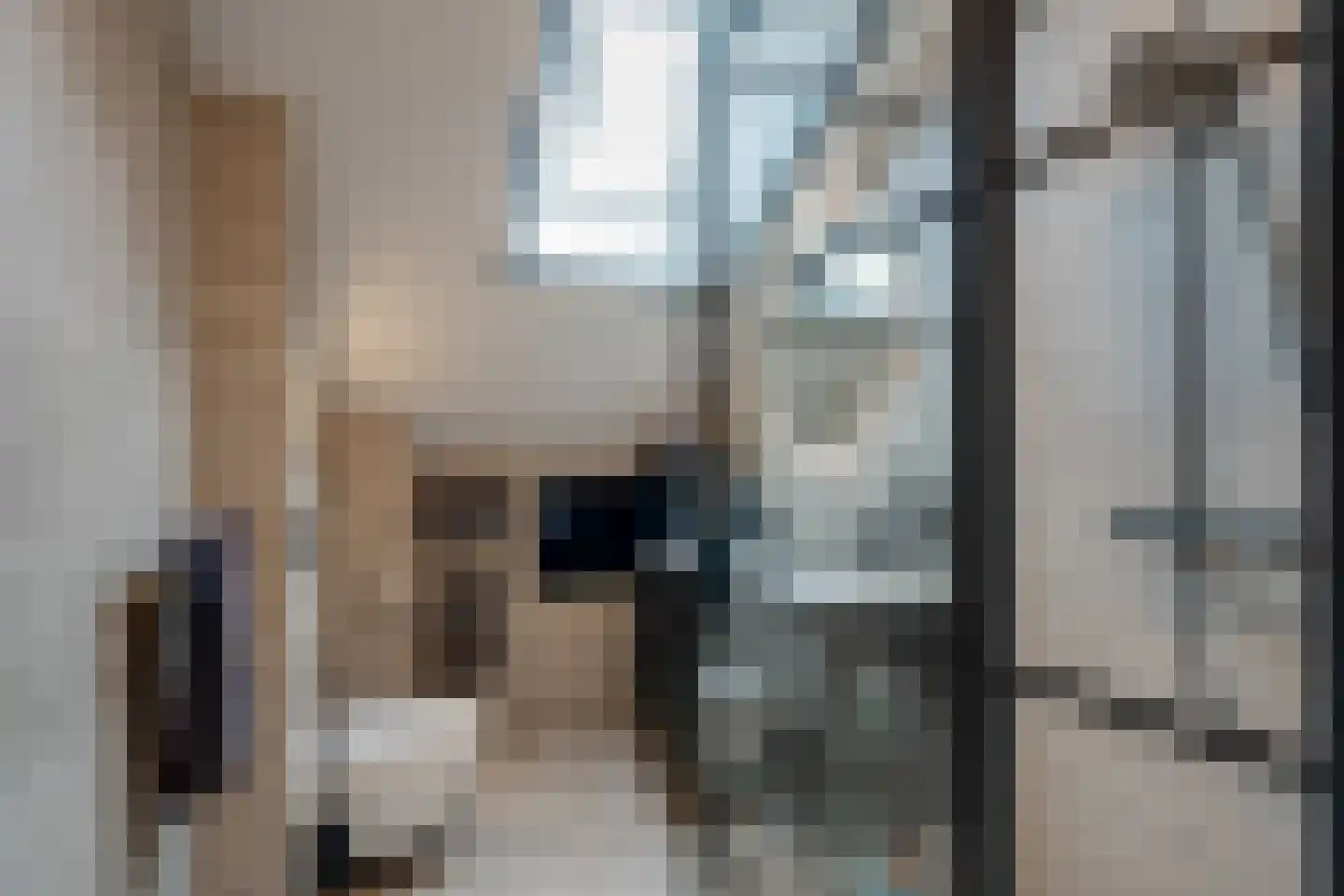 de Meeuwenstaart 2 Delfzijl thumbnail 7