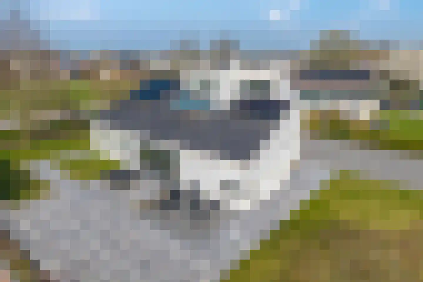 de Meeuwenstaart 2 Delfzijl thumbnail 75