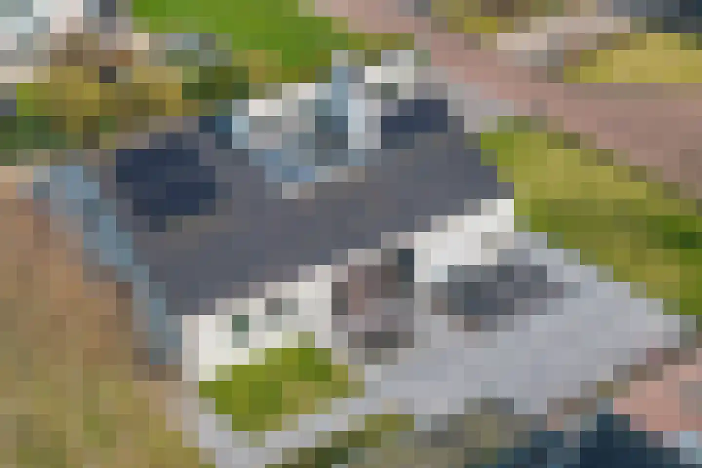 de Meeuwenstaart 2 Delfzijl thumbnail 76