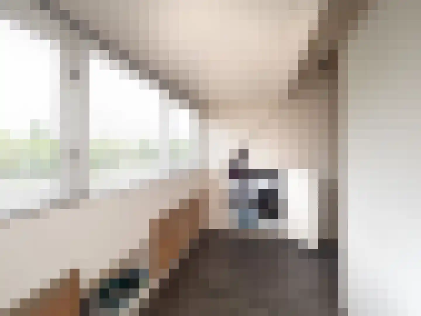 de Meeuwse Acker 1112 Nijmegen thumbnail 22