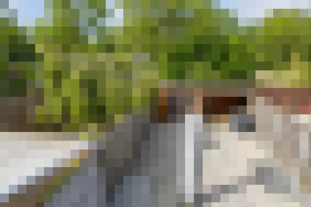 de Meeuwse Acker 1112 Nijmegen thumbnail 28