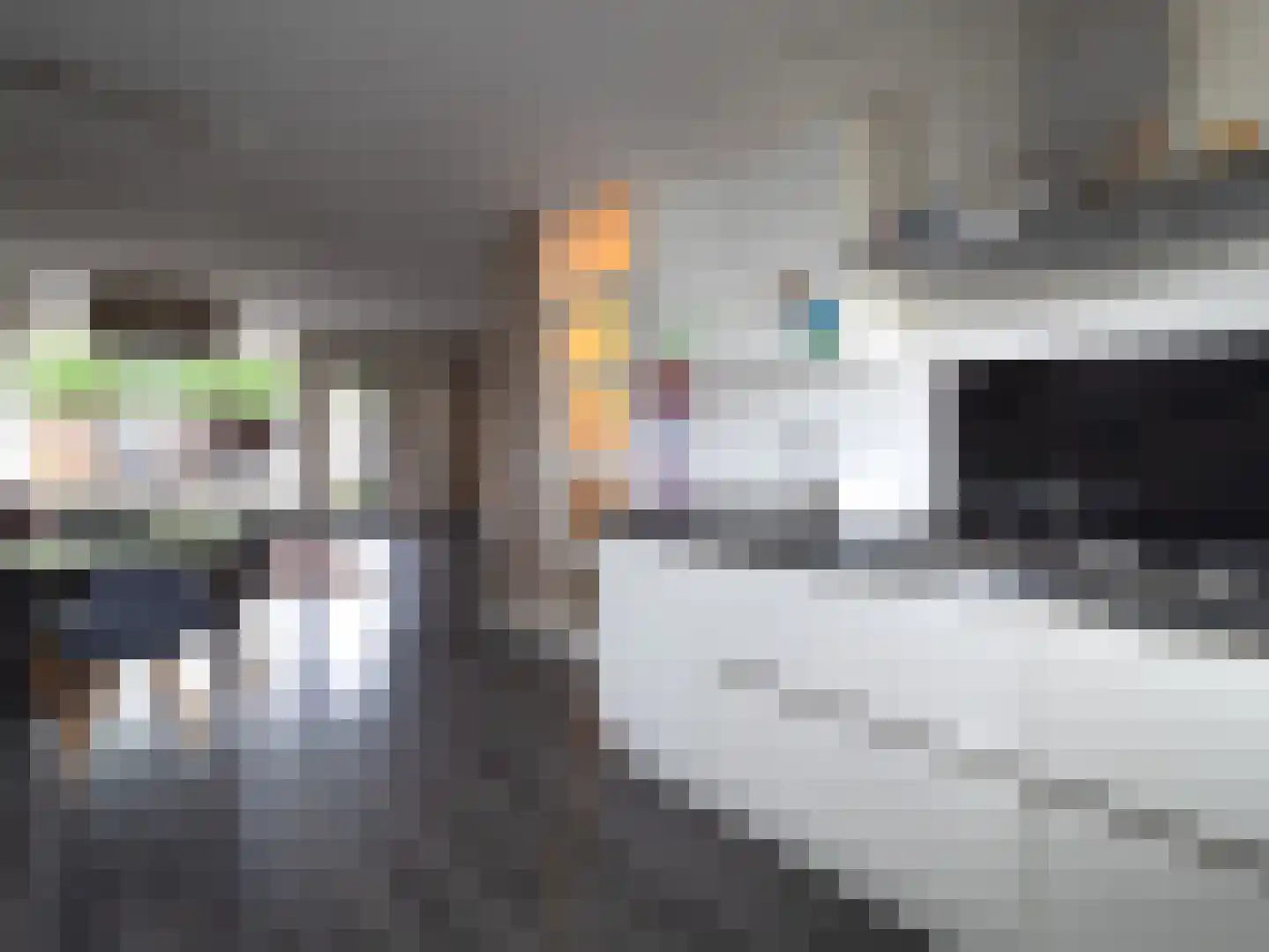 de Meeuwse Acker 1112 Nijmegen thumbnail 8
