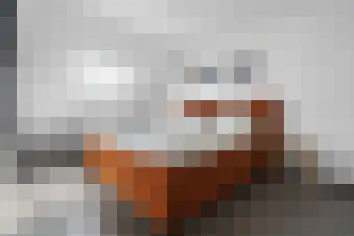 de Meeuwse Acker 1138 Nijmegen thumbnail 11