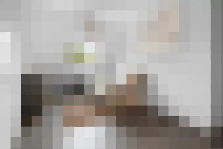 de Meeuwse Acker 1138 Nijmegen thumbnail 13