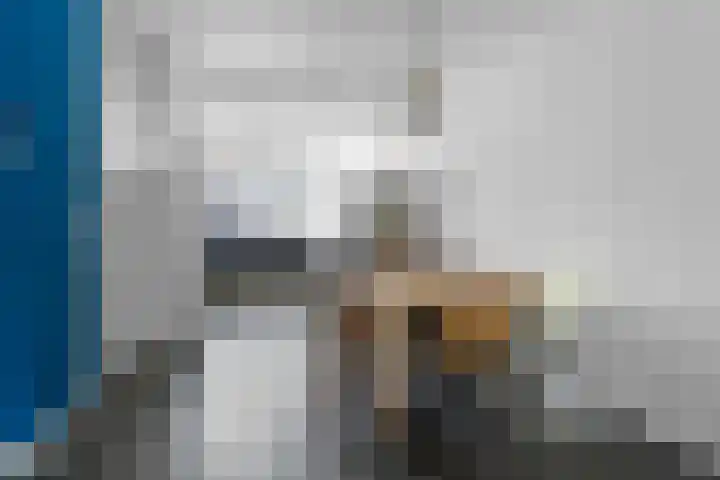 de Meeuwse Acker 1138 Nijmegen thumbnail 6
