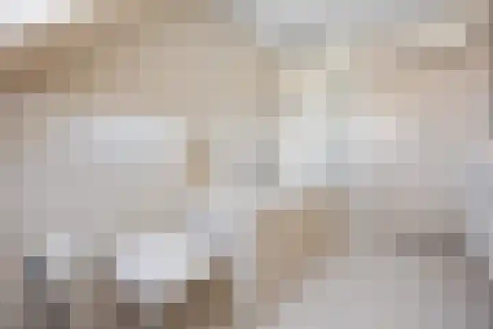 de Meeuwse Acker 1402 Nijmegen thumbnail 15