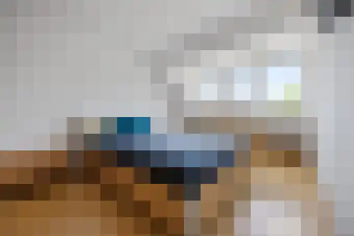 de Meeuwse Acker 1402 Nijmegen thumbnail 16