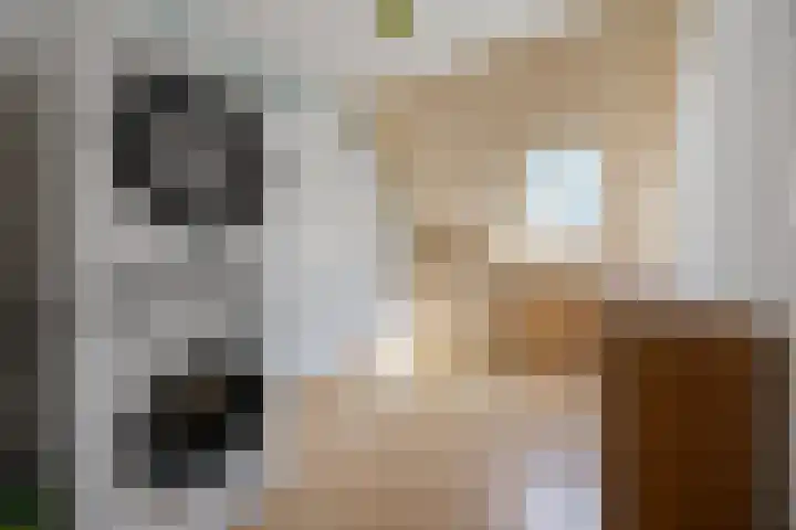 de Meeuwse Acker 1402 Nijmegen thumbnail 24